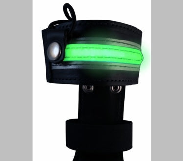 Illuminating Foxfire/Box Alarm Leather Radio Case